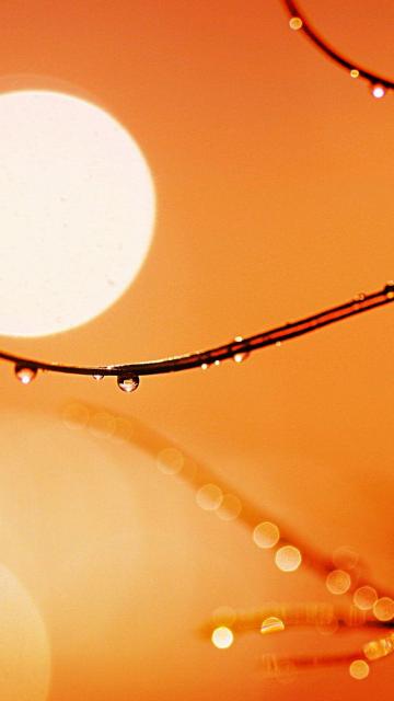 太阳水宫iPhone 6壁纸
