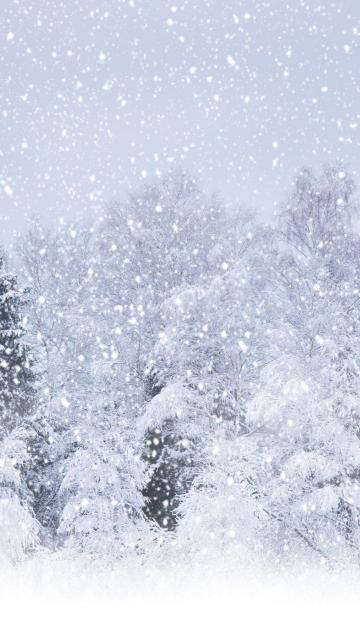 大雪森林