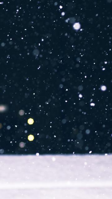 冬季雪落的散景