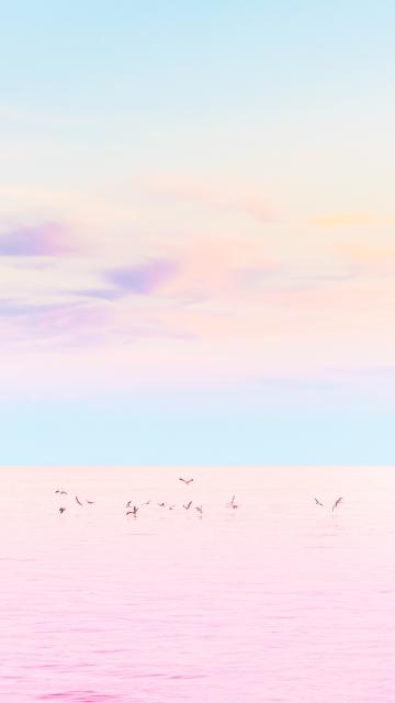 海上粉彩