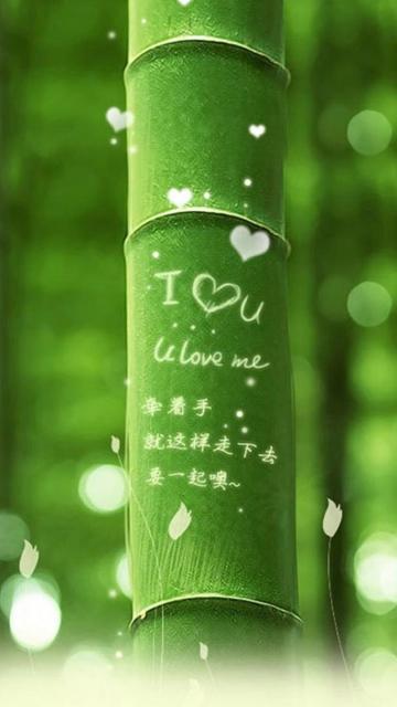 刻在竹子上的誓言