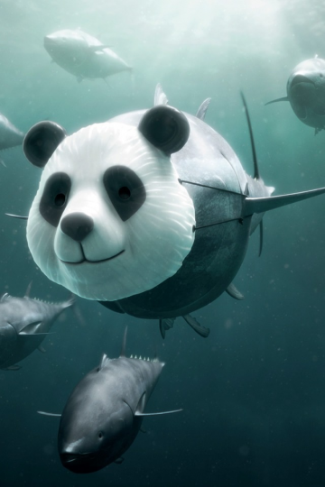 保护鲨鱼宣传海报