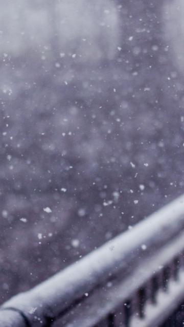 美丽的飘雪