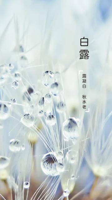 露凝白秋水老