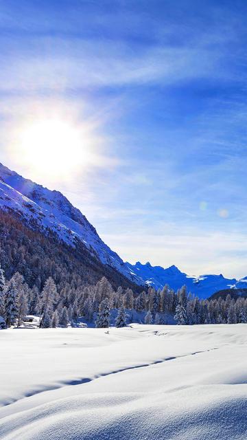 冬季唯美的雪景