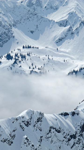 森林雪景