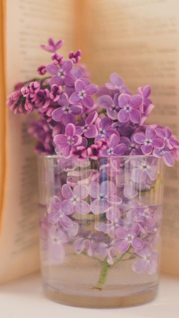 清新丁香花