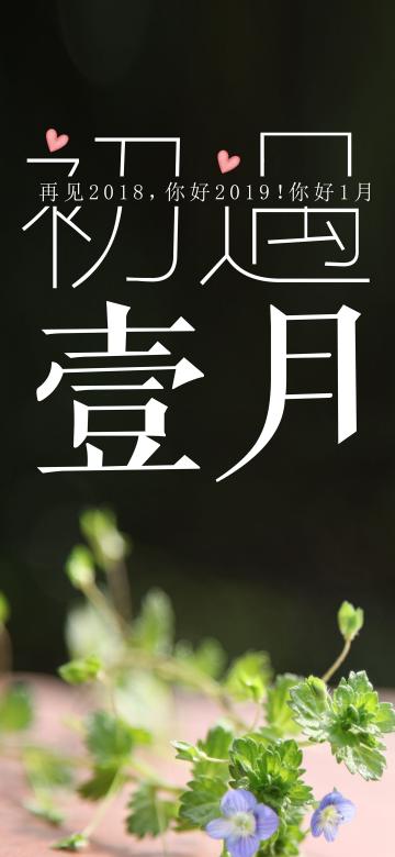 清新文艺的初遇一月