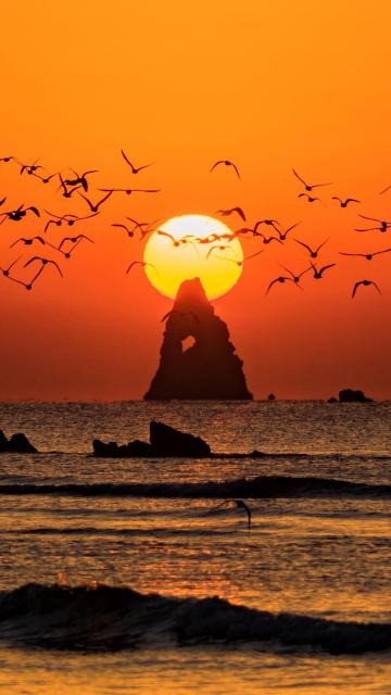 落日夕阳