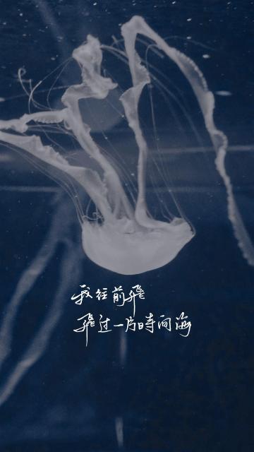 我往前飞,飞过一片时间海