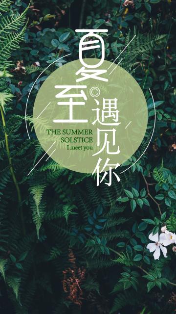 夏至遇见你