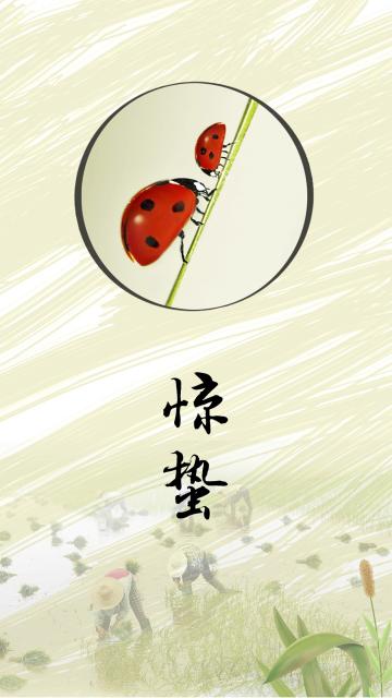 绿色小清新惊蛰节气