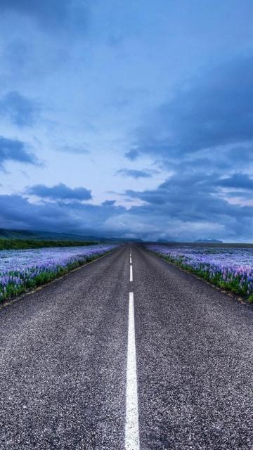 蓝色花场高速公路