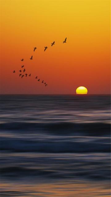 海滩日出