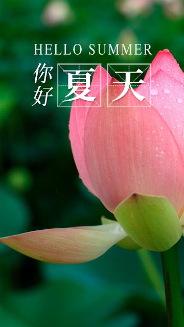 繁花凋谢 小荷露尖