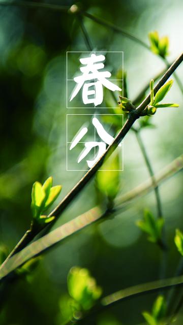 春分至万物回春