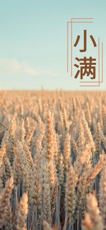 节气之小满