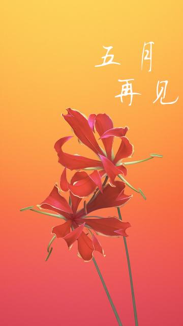 五月再见红花背景