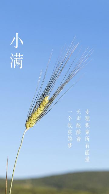 24节气小满