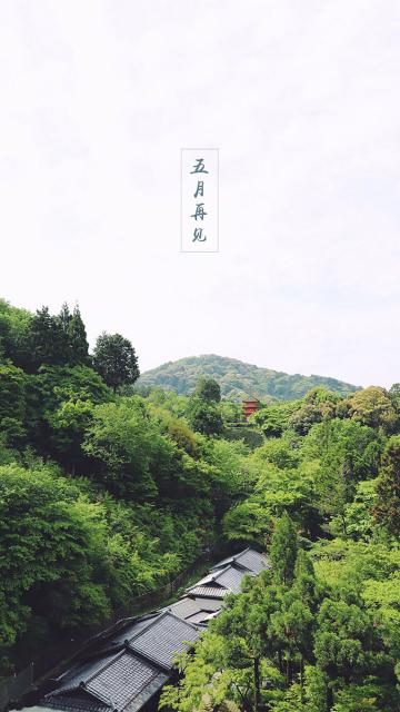 六月的清晨
