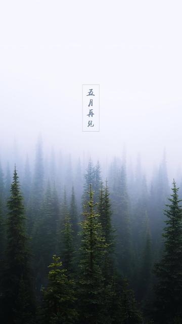 过去的五月