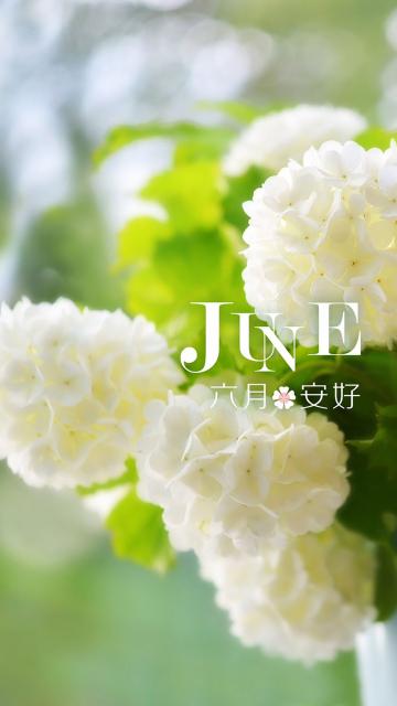 六月,勾勒出婉约瑰丽的画卷
