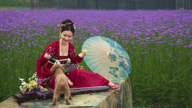 古装美女与泰迪的日常互动写真