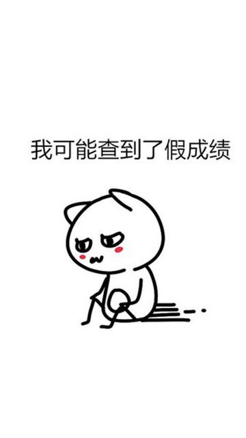 我可能查到了假成绩