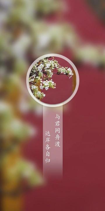 与君同船渡,达岸各自归