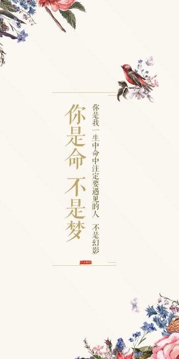 你是命,不是梦