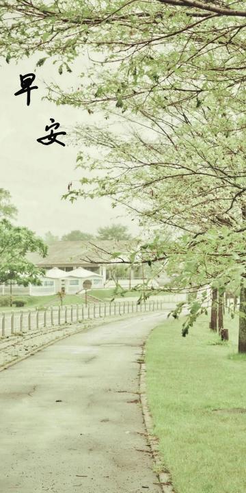 早安:清晨的小路