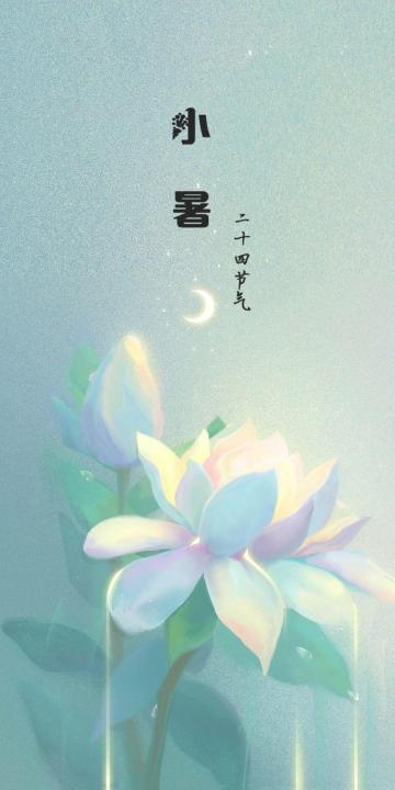 小暑之月下白莲插画