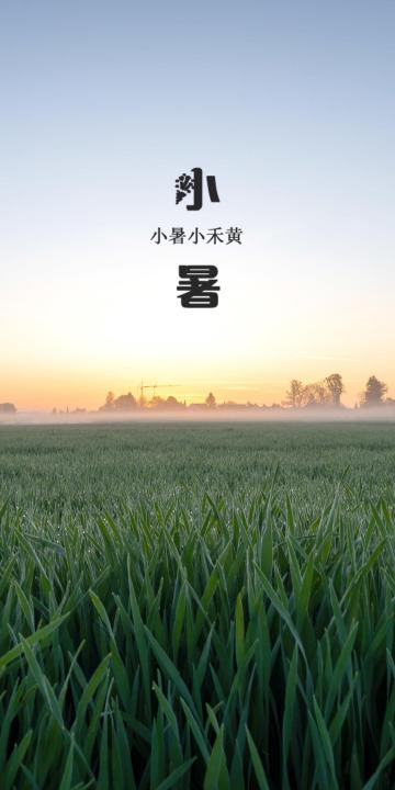 小暑之唯美田园风光