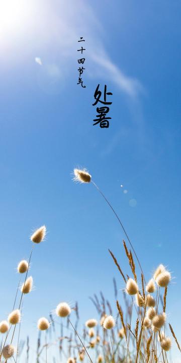 中国传统节气处暑