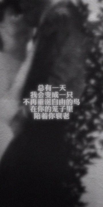 总有一天,我会变成一只笼中鸟