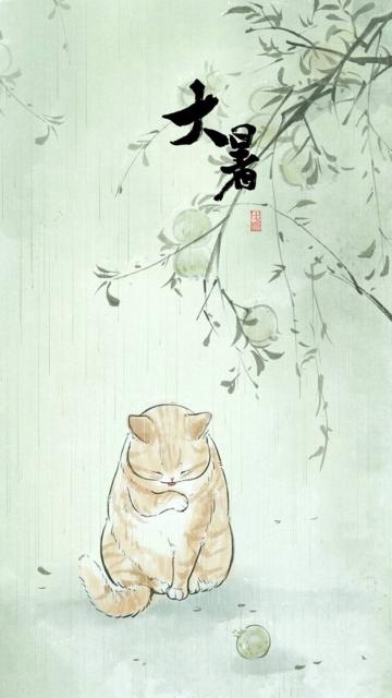大暑:可爱的猫咪插画