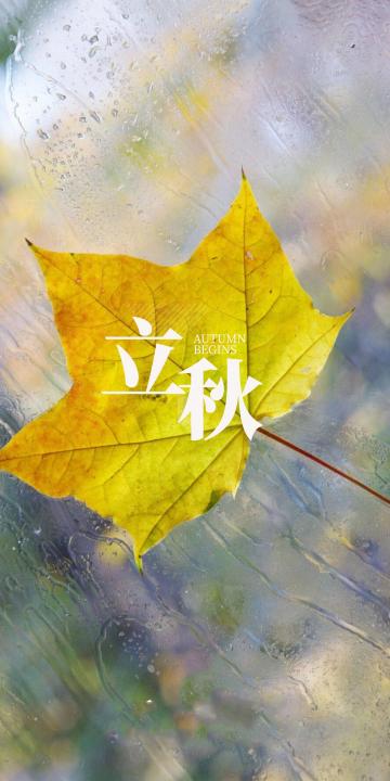立秋:雨中落叶