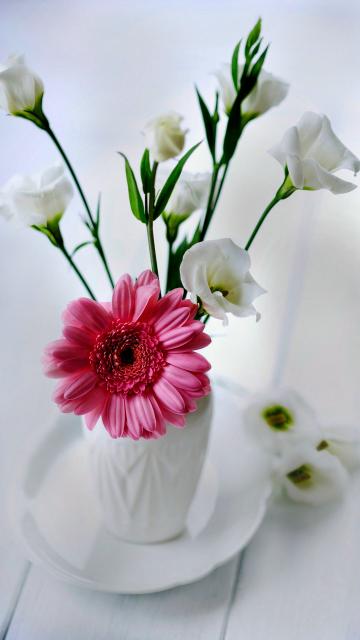 芬芳