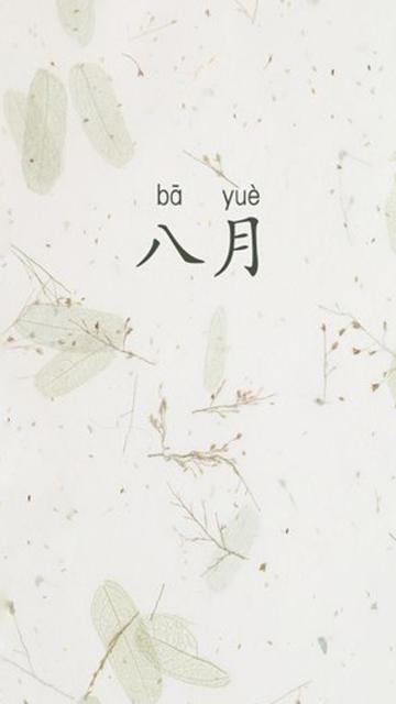 八月的淡雅