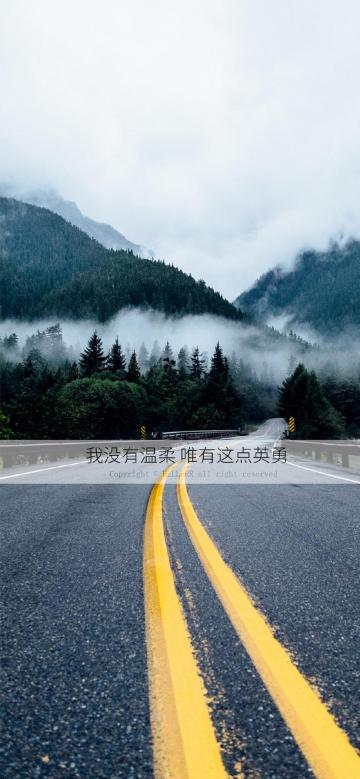 我没有温柔,唯有这点英勇