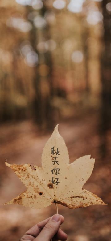 秋天你好,我们再次相见了