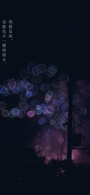 我就是我,是颜色不一样的烟火