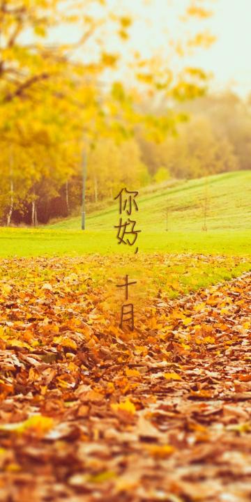 你好,金秋十月