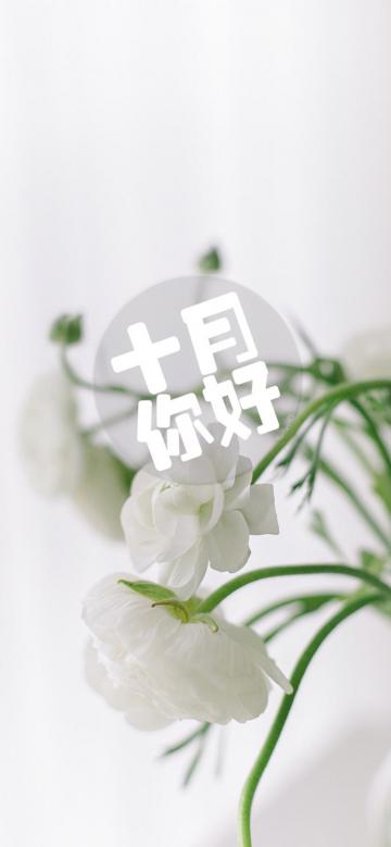 十月的花儿,你好呀