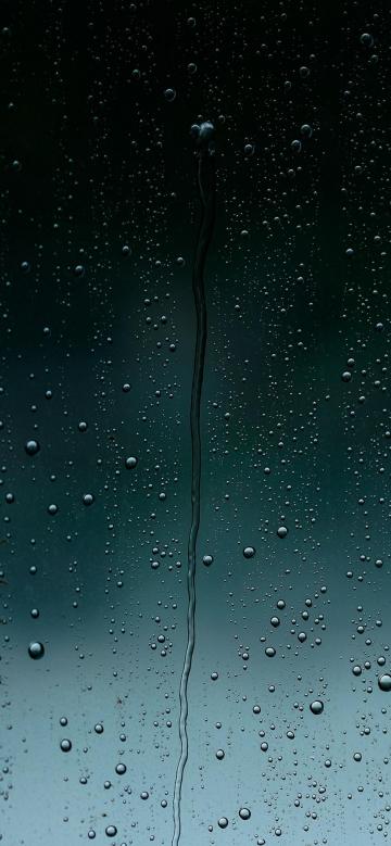 雨敲打着窗