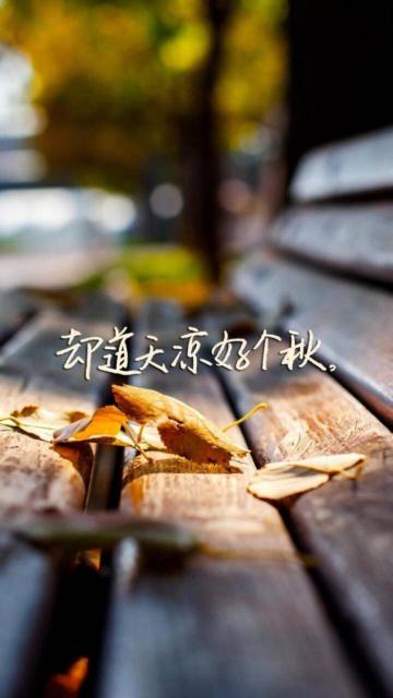 却道天凉好个秋