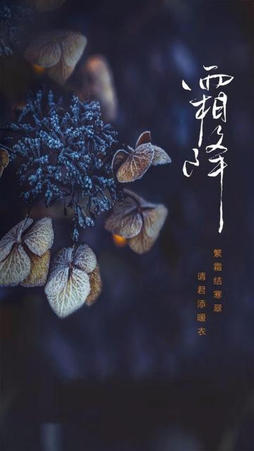 霜降唯美风光