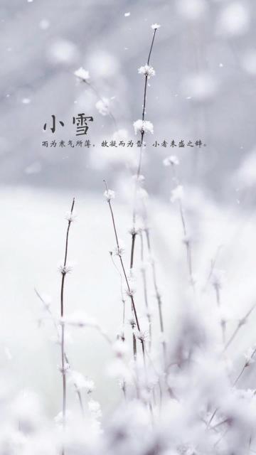 小雪到 冬来到