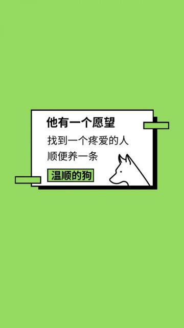 情侣专用/他有一个愿望