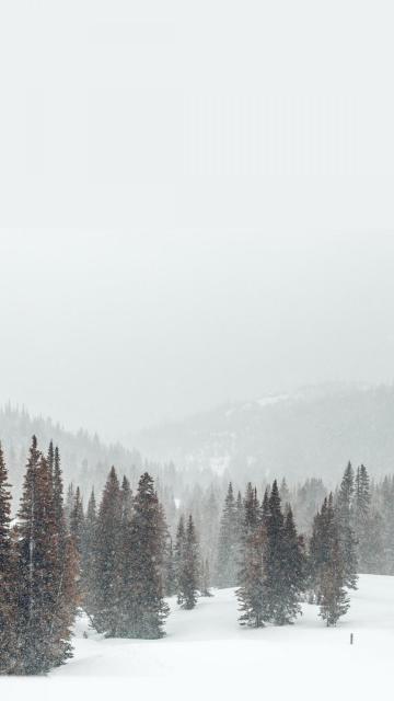 冬季里大自然的雪景风光